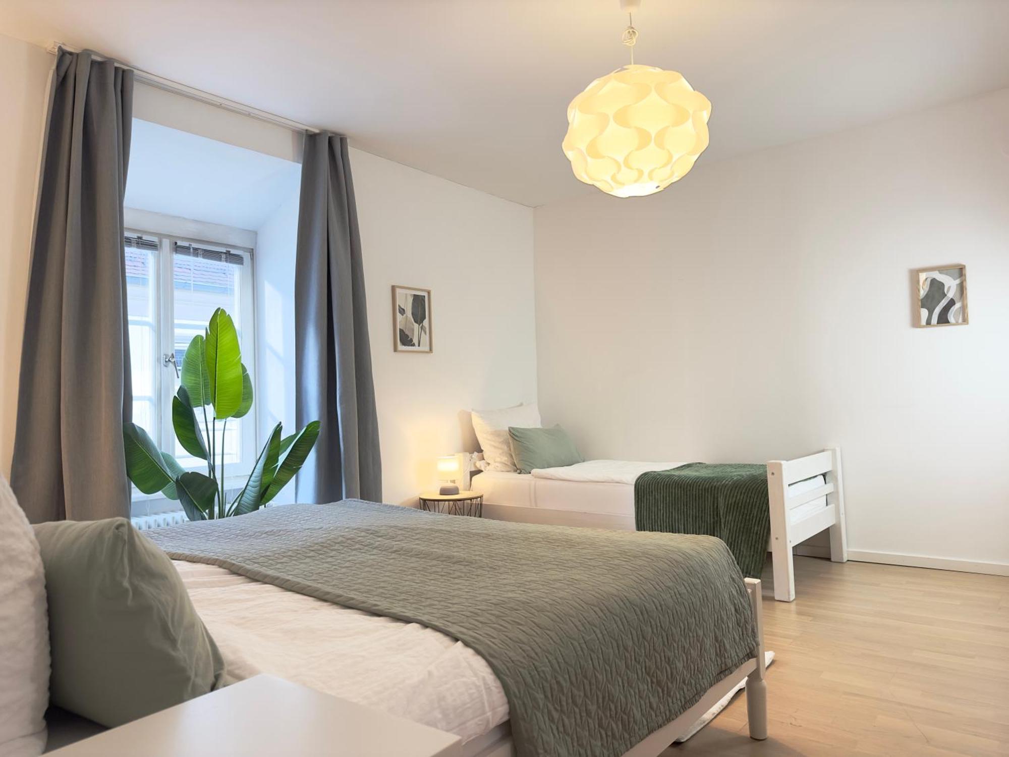 Luxury Old Town Suite - Xxl Terrasse & Xxl Penthouse Heidelberg Dış mekan fotoğraf