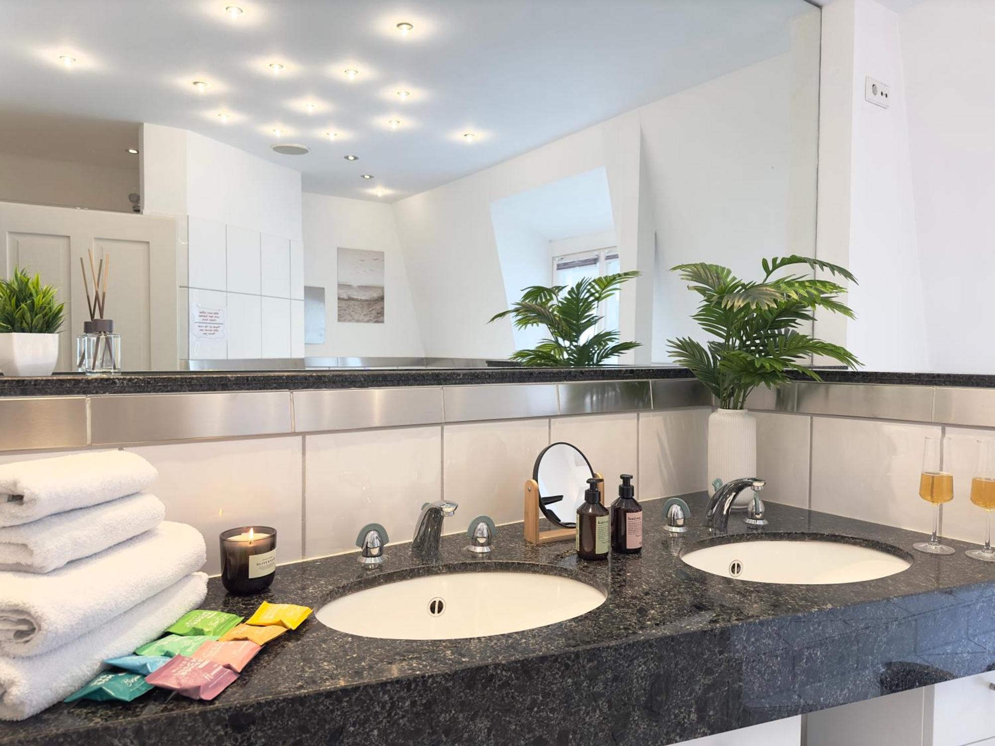 Luxury Old Town Suite - Xxl Terrasse & Xxl Penthouse Heidelberg Dış mekan fotoğraf