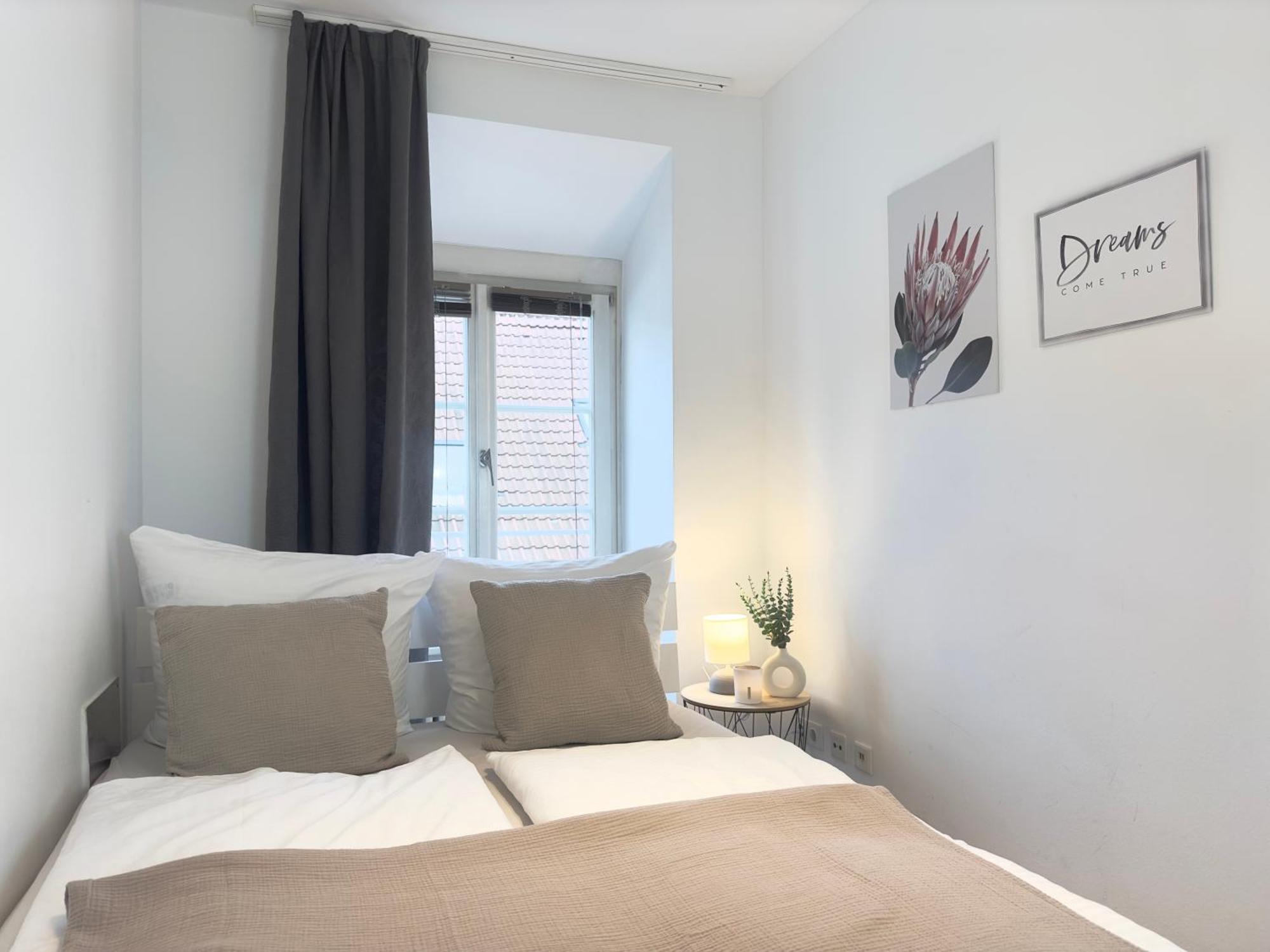 Luxury Old Town Suite - Xxl Terrasse & Xxl Penthouse Heidelberg Dış mekan fotoğraf