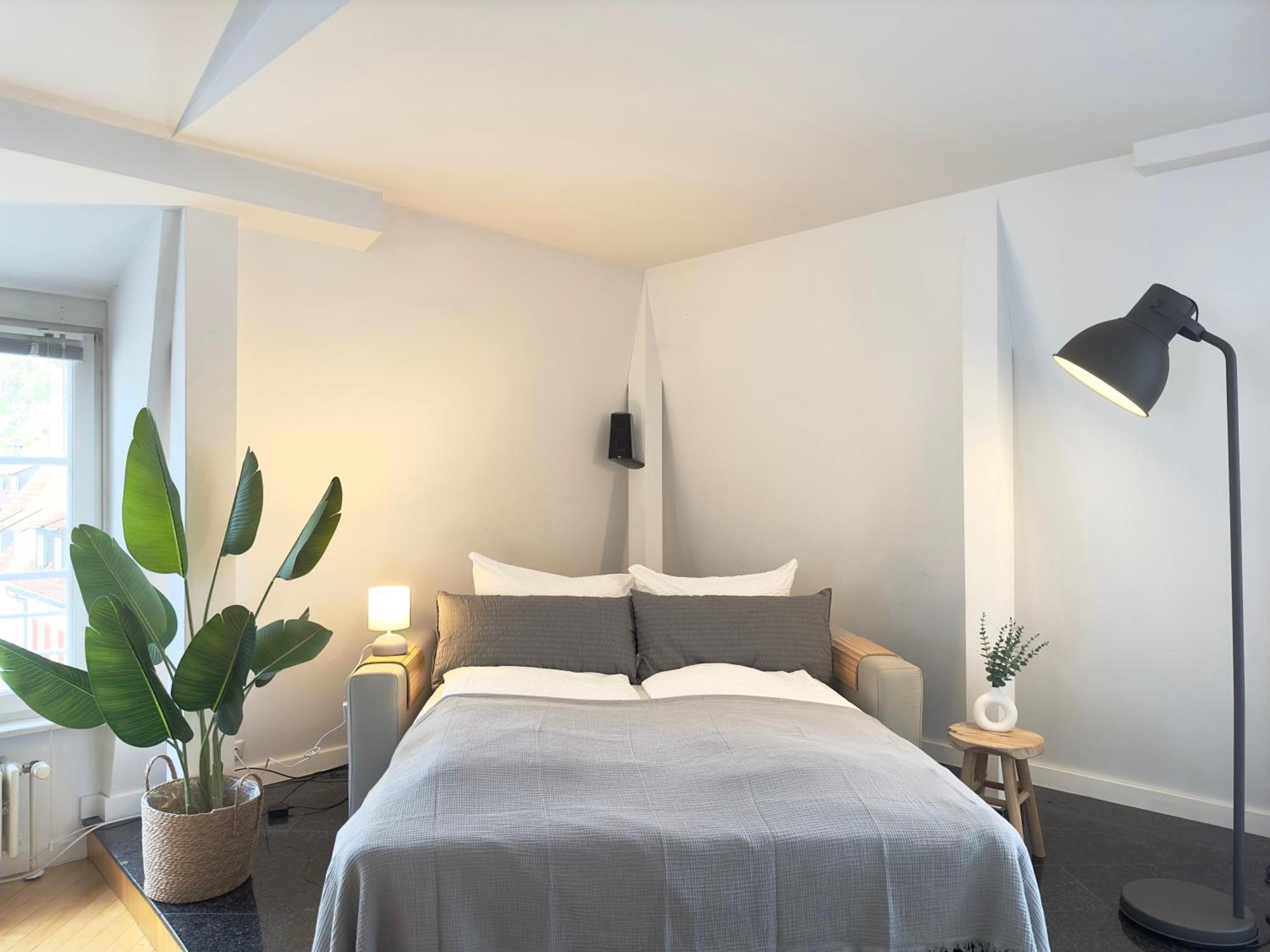 Luxury Old Town Suite - Xxl Terrasse & Xxl Penthouse Heidelberg Dış mekan fotoğraf